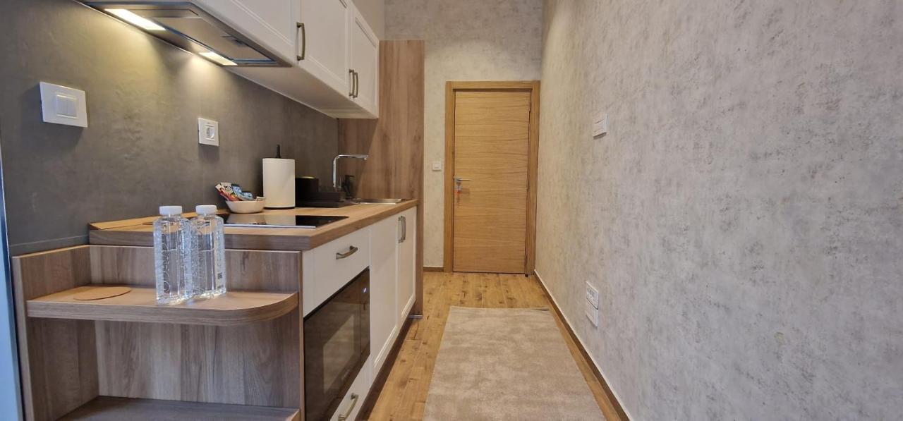 Old Town Apartments Rajiceva 3 贝尔格莱德 外观 照片